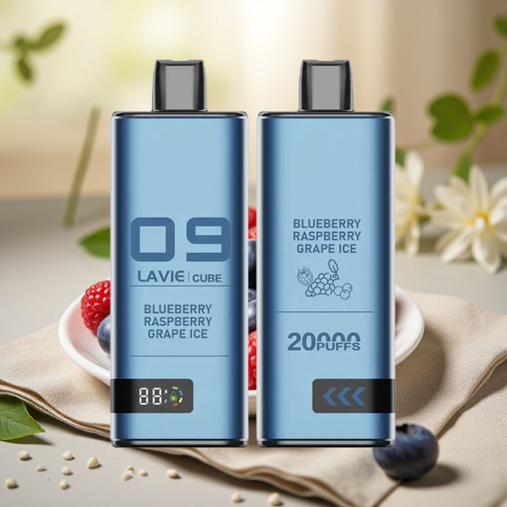 Lavie Cube 20000 Puffs Disposable Vape Čučoriedka Malina Hroznový ľad – 28ML, 5% nikotín, Type-C