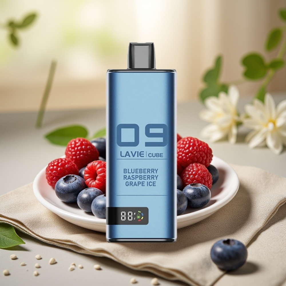 Lavie Cube 20000 Puffs Disposable Vape Čučoriedka Malina Hroznový ľad – 28ML, 5% nikotín, Type-C